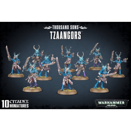 THOUSAND SONS TZAANGORS Box